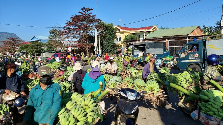 Nhộn nhịp phiên chợ chuối mật mốc ngày giáp tết ảnh 8