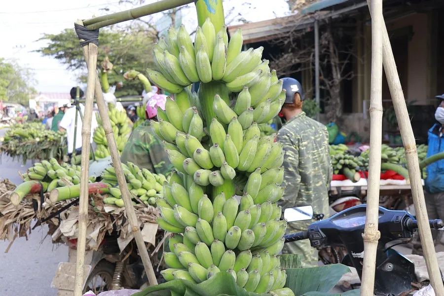 Nhộn nhịp phiên chợ chuối mật mốc ngày giáp tết ảnh 5