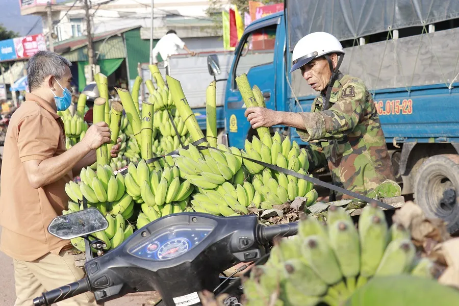 Nhộn nhịp phiên chợ chuối mật mốc ngày giáp tết ảnh 9