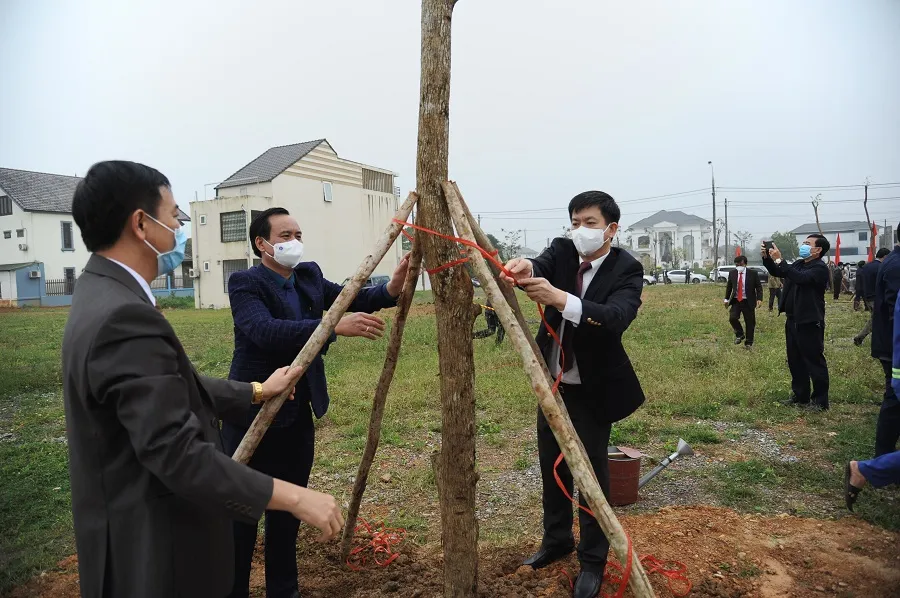 Quảng Trị: Phát động Tết trồng cây ảnh 1