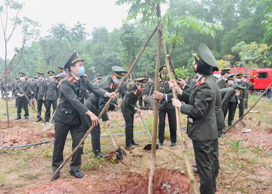 Quảng Trị: Phát động Tết trồng cây ảnh 2