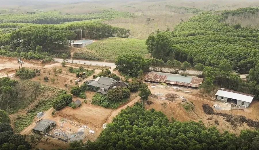 Ồ ạt xây dựng công trình, trồng cây “đón” dự án cao tốc Bắc - Nam ảnh 1