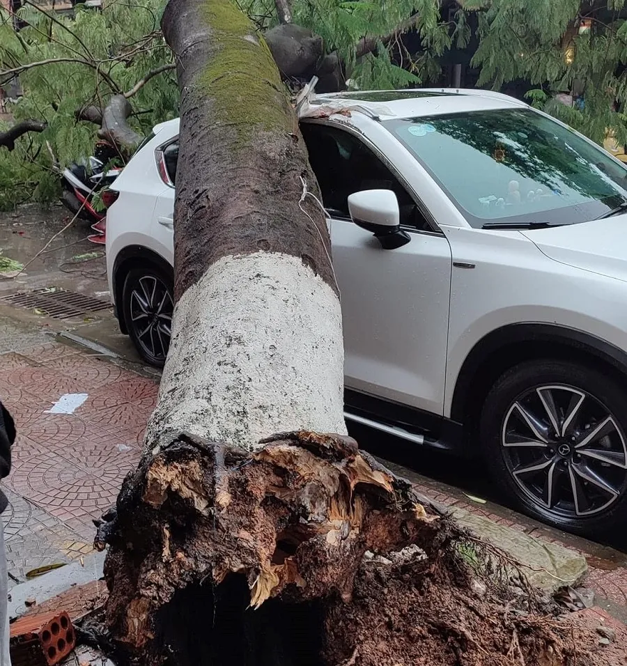 Quảng Trị: Nhiều tuyến giao thông ách tắc do mưa lớn, sạt lở ảnh 3