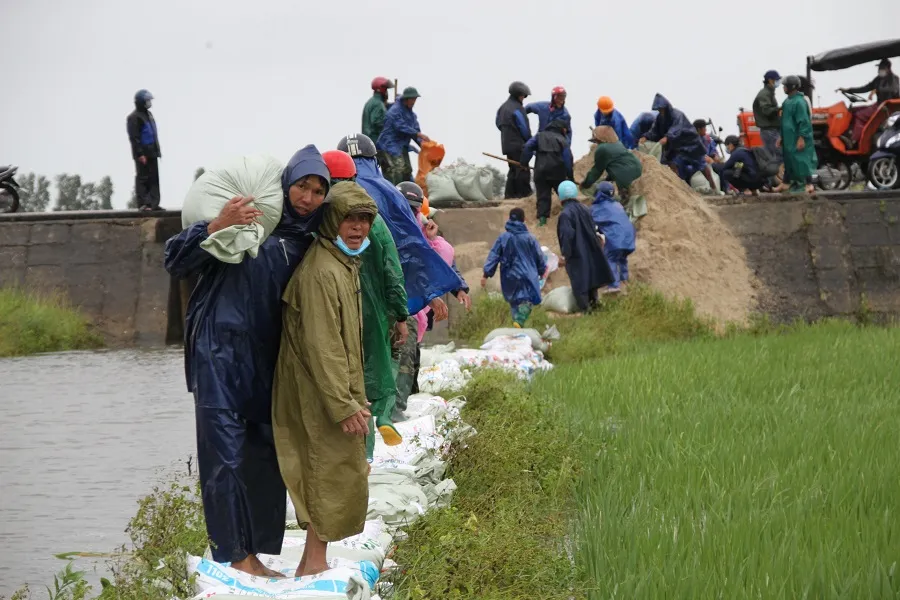 Quảng Trị: Mưa lũ cực đoan, dị thường gây thiệt hại nặng nề cho sản xuất nông nghiệp ảnh 3
