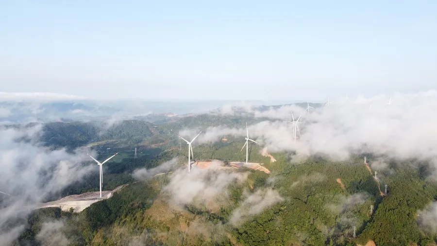 Quảng Trị và Israel: Thúc đẩy hợp tác trong lĩnh vực năng lượng tái tạo ảnh 2