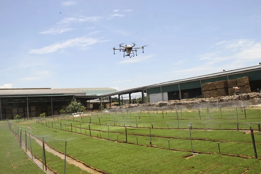 Trồng lúa hữu cơ mở ra hướng canh tác bền vững cho nông dân Quảng Trị ảnh 2