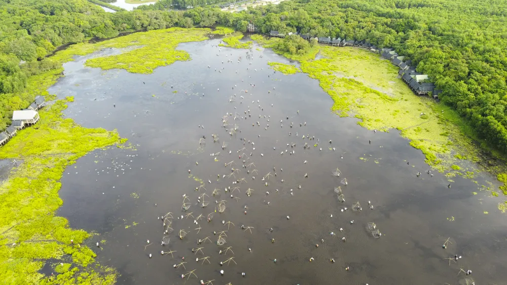Hàng trăm người bì bõm lội bùn bắt cá ngày hội “phá trằm” ảnh 9