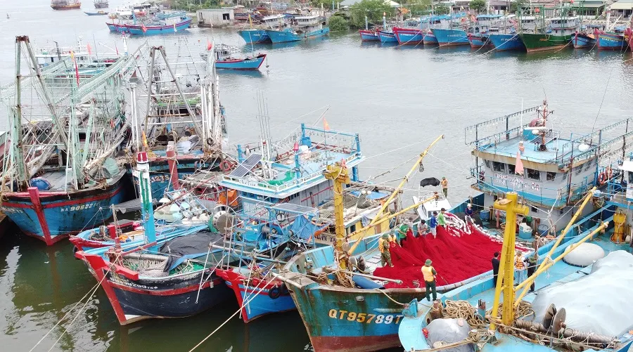 Bão số 4 có xu hướng mạnh thêm trong 24 giờ tới ảnh 18