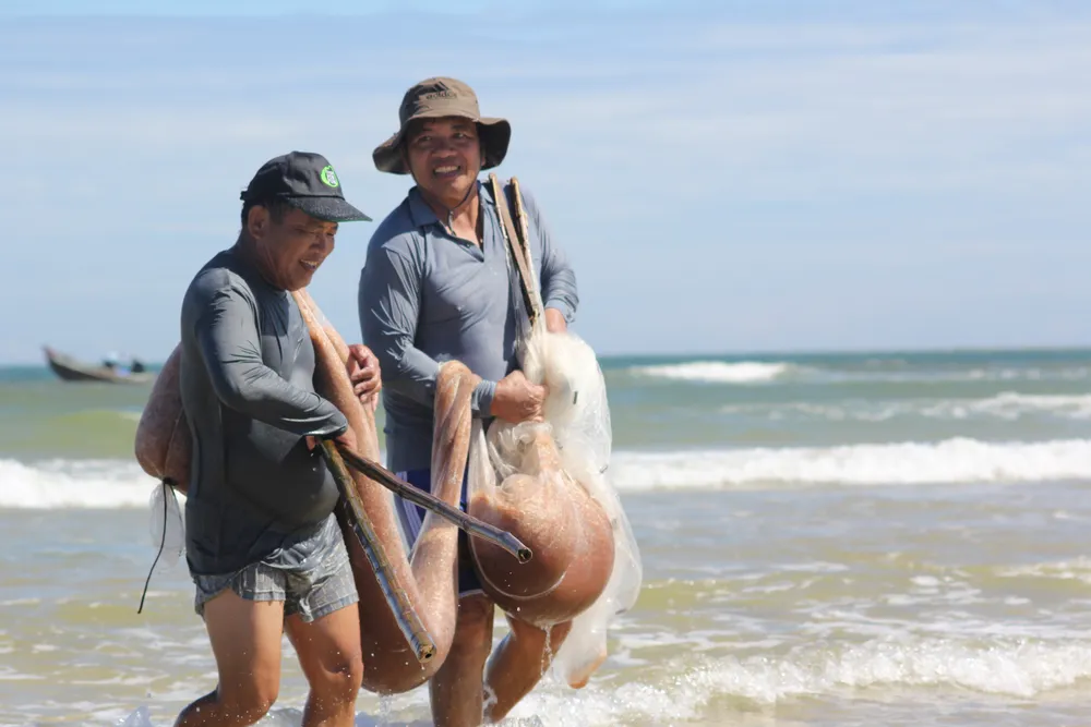 Ngư dân rẽ sóng “săn” hàng tấn ruốc biển mỗi ngày ảnh 7