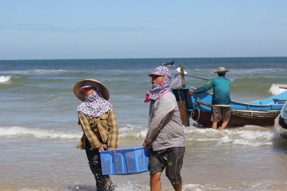 Ngư dân rẽ sóng “săn” hàng tấn ruốc biển mỗi ngày ảnh 3