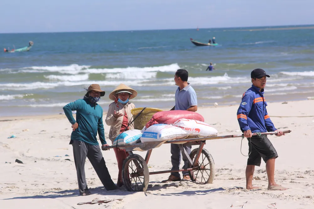 Ngư dân rẽ sóng “săn” hàng tấn ruốc biển mỗi ngày ảnh 12