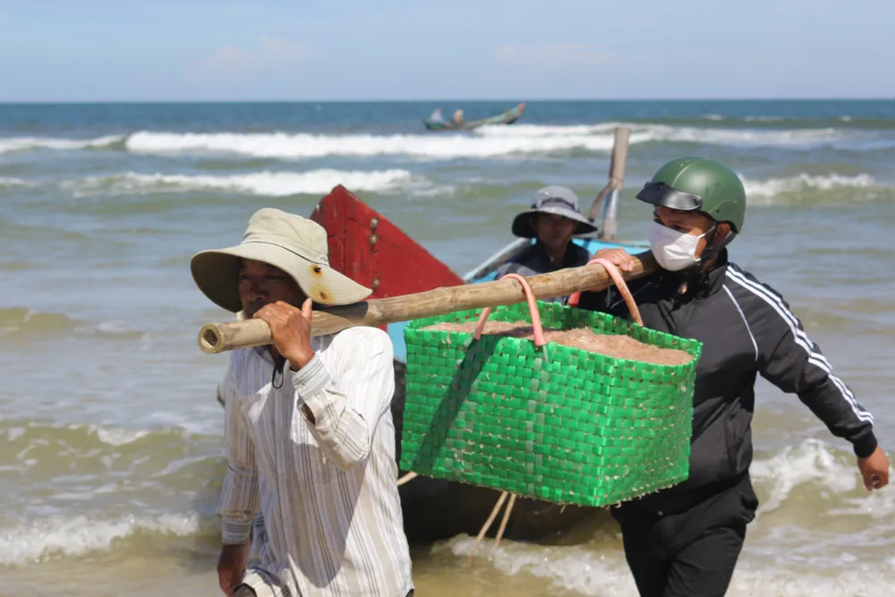 Ngư dân rẽ sóng “săn” hàng tấn ruốc biển mỗi ngày ảnh 10