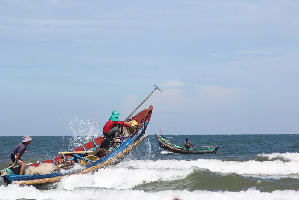 Ngư dân rẽ sóng “săn” hàng tấn ruốc biển mỗi ngày ảnh 1