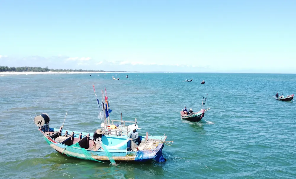 Ngư dân rẽ sóng “săn” hàng tấn ruốc biển mỗi ngày ảnh 2