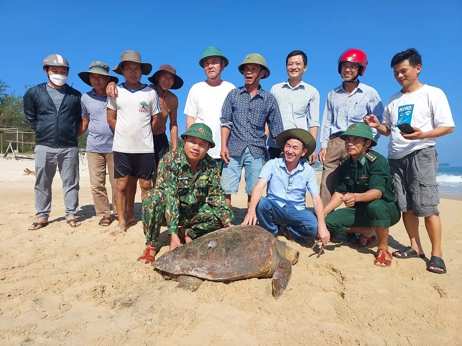 Cứu hộ kịp thời cá thể vích quý hiếm mắc vào lưới ngư dân ảnh 1