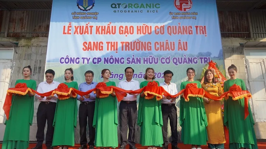 Lãnh đạo tỉnh thực hiện nghi thức xuất khẩu lô gạo hữu cơ Quảng Trị đầu tiên sang thị trường châu Âu Lãnh đạo tỉnh thực hiện nghi thức xuất khẩu lô gạo hữu cơ Quảng Trị đầu tiên sang thị trường châu Âu