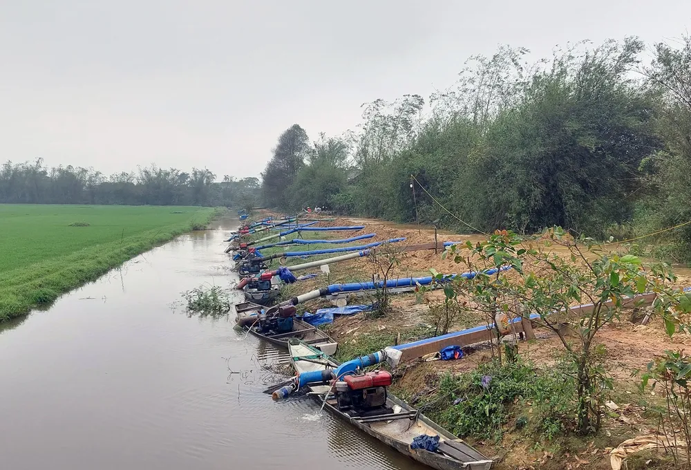 Trạm bơm dã chiến dọc các đê bao để tiêu úng cho ruộng lúa