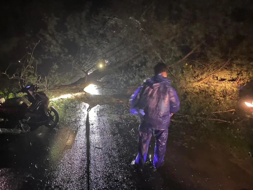 Cây xanh bị ngã đổ do mưa dông cùng gió giật mạnh Cây xanh bị ngã đổ do mưa dông cùng gió giật mạnh