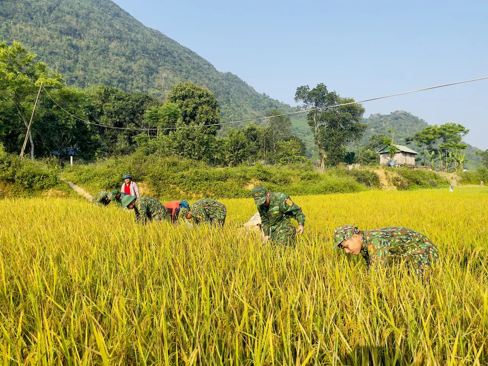Dù thời tiết nắng nóng nhưng cán bộ chiến sĩ Đồn Biên phòng Hướng Lập vẫn tích cực hỗ trợ người dân