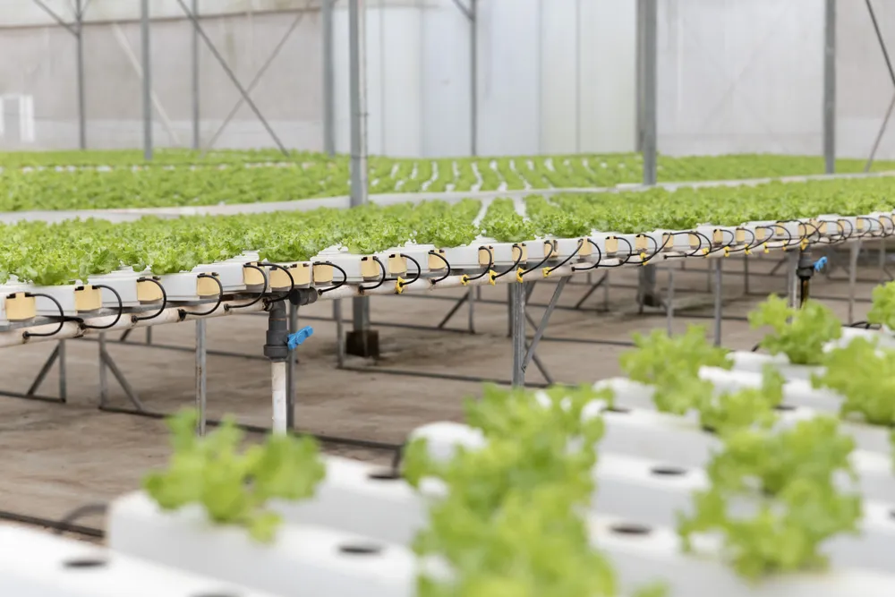 WinEco ứng dụng công nghệ, đảm bảo chất lượng sản phẩm.jpg