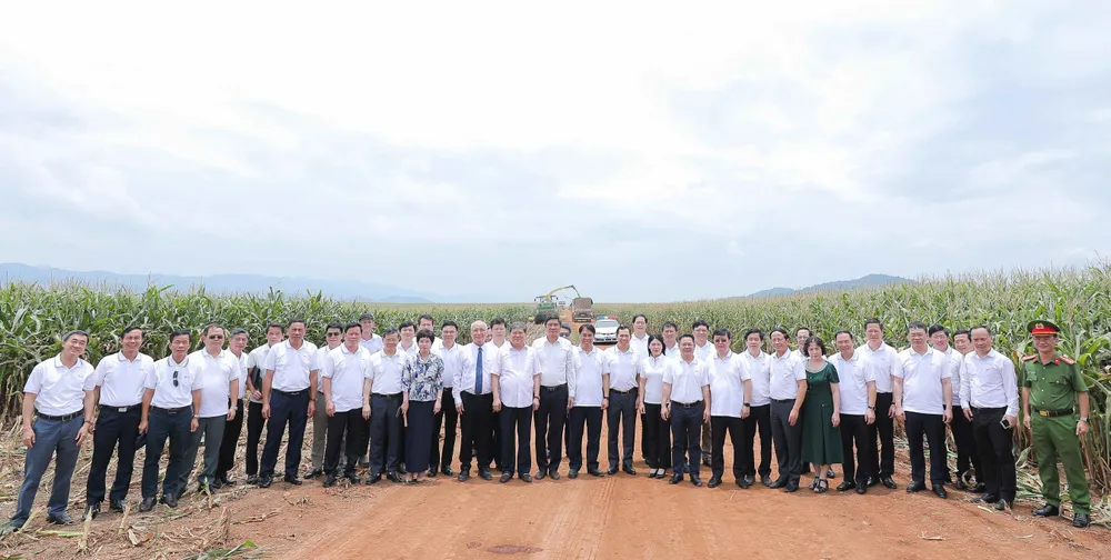 Doan tren canh dong Dong Hieu.jpg