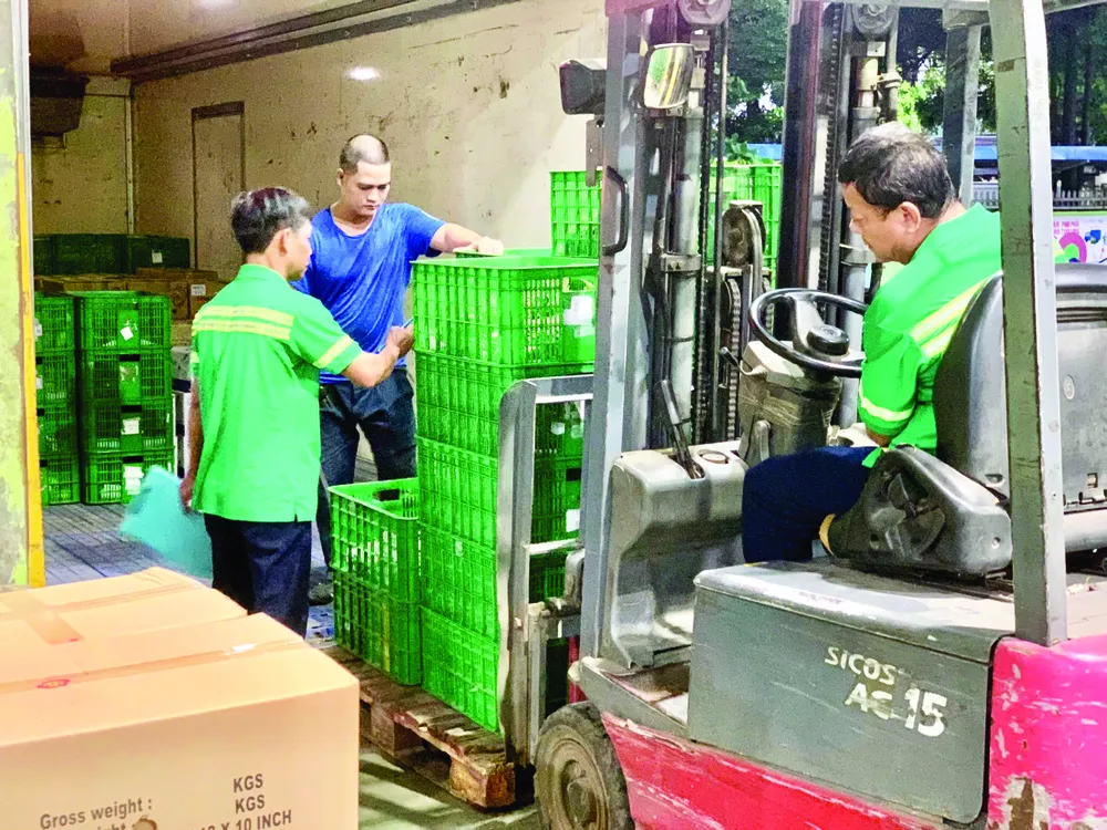 Saigon Co.op's shipments of fruits and vegetables at the warehouse in Binh Duong Province are being prepared for supply to Northern provinces on the evening of September 12. (Photo: SGGP)