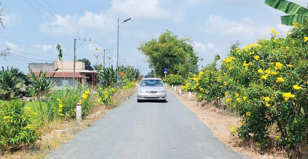 Dong Thap Muoi a.jpg