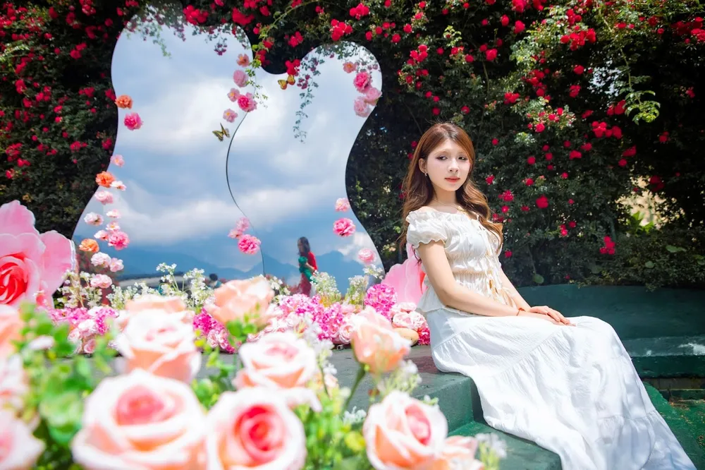 Hoa hồng Fansipan 4.jpg