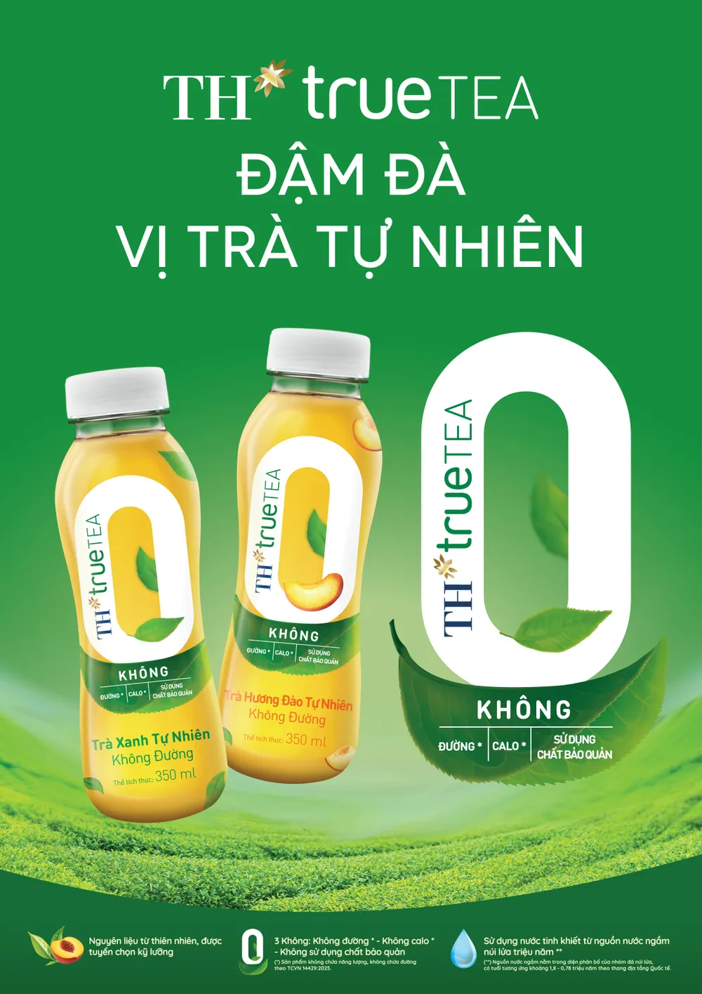 KV_TH true TEA-KhongDuong_View.jpg