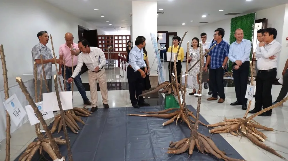 Ảnh 3.jpg