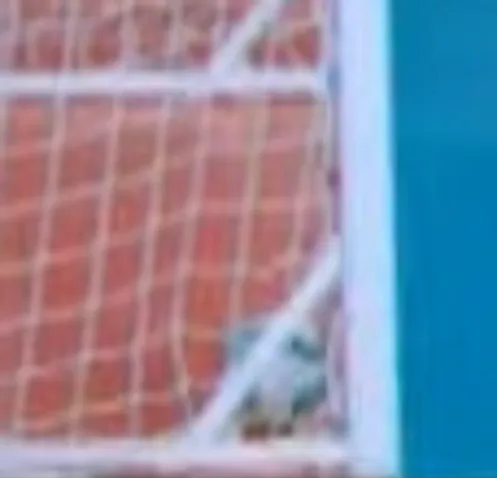 HLV Hector: ‘Đội tuyển futsal Việt Nam bị từ chối bàn thắng hợp lệ’ ảnh 1