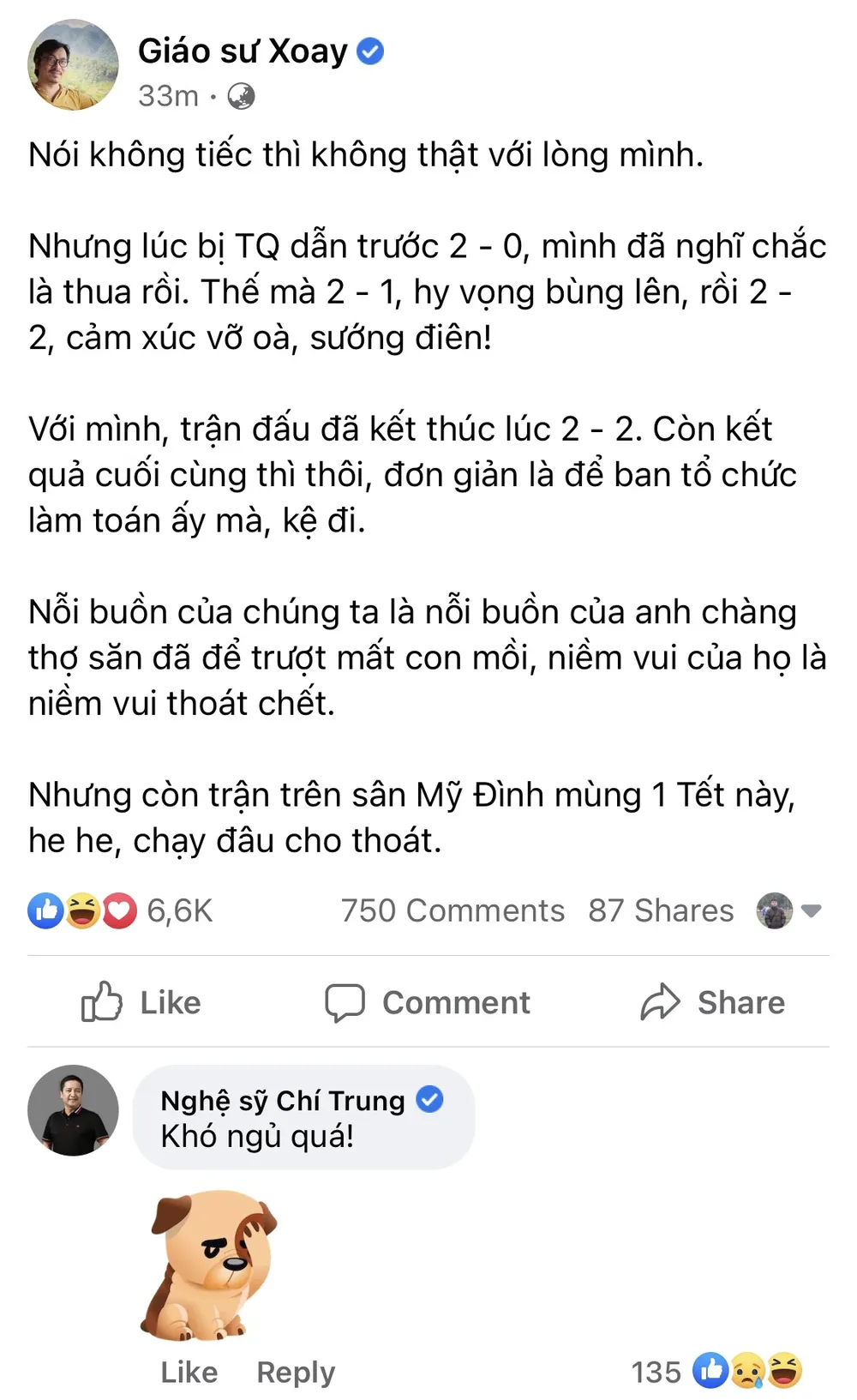 Khán giả Đông Nam Á tiếc cho thất bại của tuyển Việt Nam ảnh 2