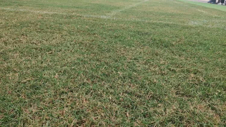 ‘Hung thần’ của tuyển Đức giận ra mặt trước khi gặp U23 Việt Nam ảnh 5