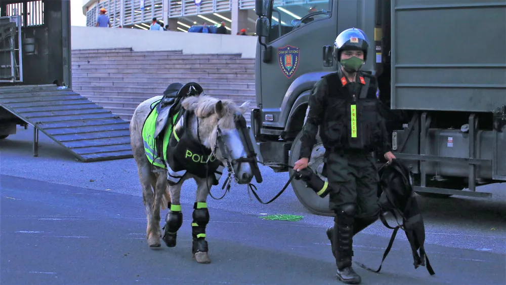 Đội ngũ kỵ binh này từng xuất hiện ở lễ khai mạc SEA Games 31 và trận chung kết môn bóng đá nam giữa U23 Việt Nam và U23 Thái Lan cũng trên sân Mỹ Đình vào hồi tháng 5.