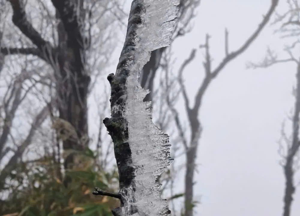 自1月5日起，霜冻已出现在高平省菲霍山峰。