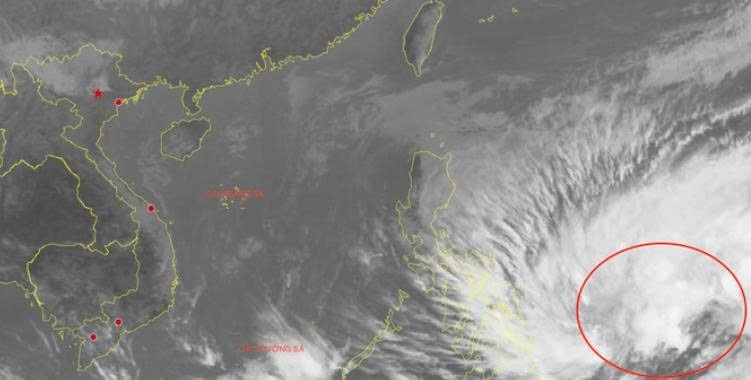 热带低压活动区域。 