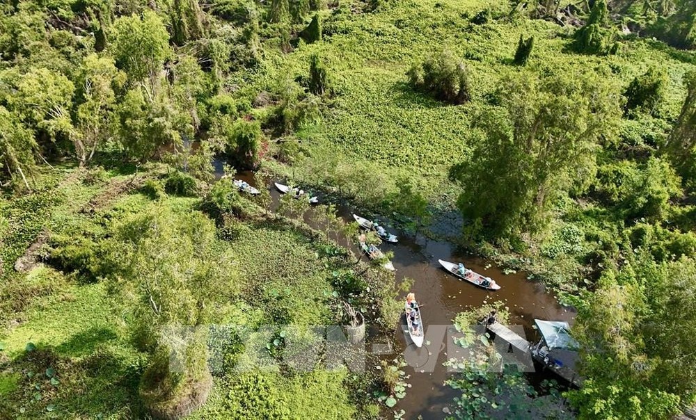 2026年将完成服务于欧盟零毁林法规执行的森林数据库