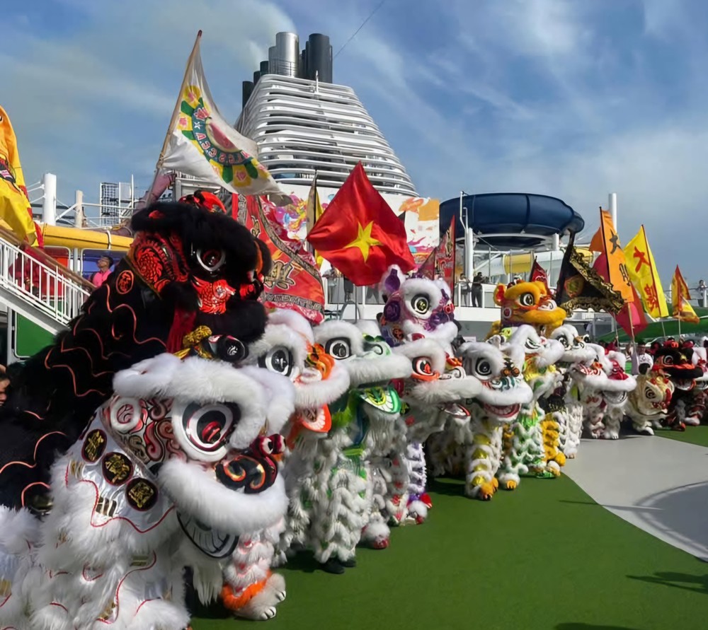 豪勇堂参加天富宫白龙王国际舞狮公开赛。