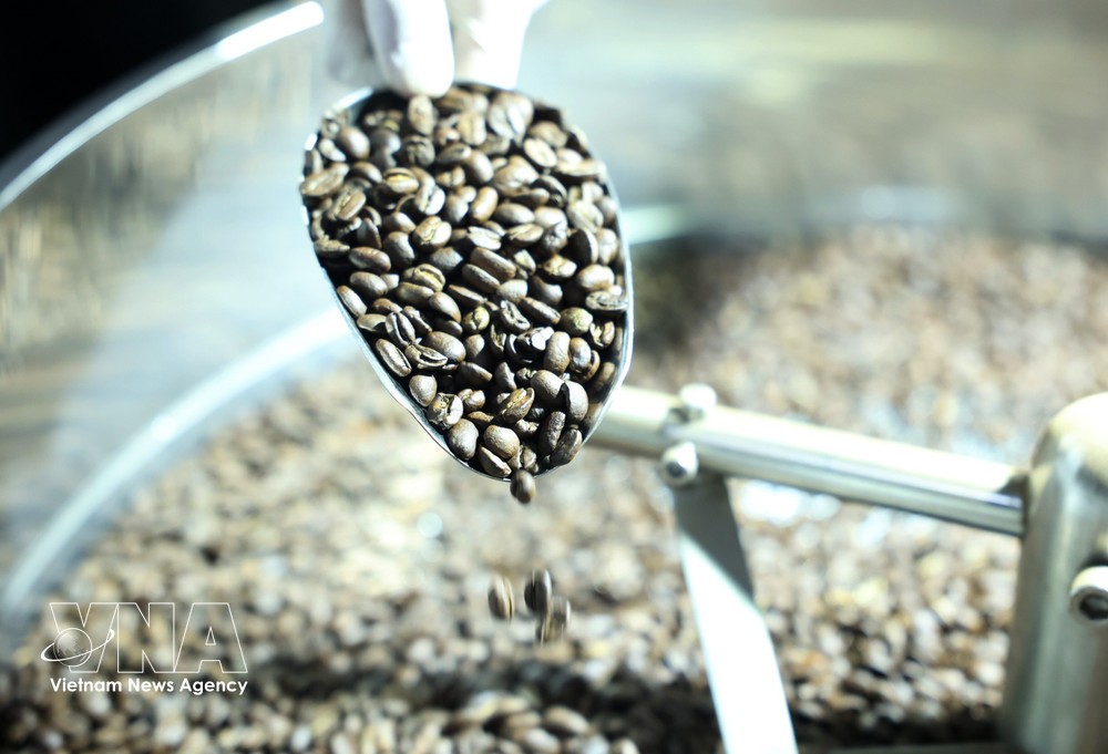 咖啡目前是越南对阿尔及利亚的主要出口产品。