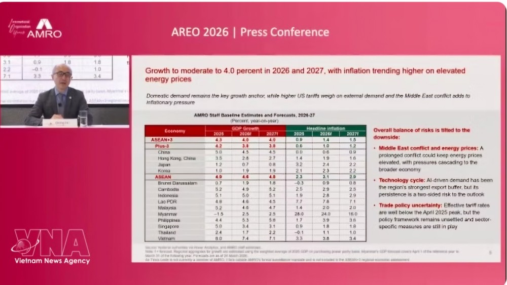 AMRO首席经济学家何东表示，越南较好地应对了去年美国关税政策带来的冲击。