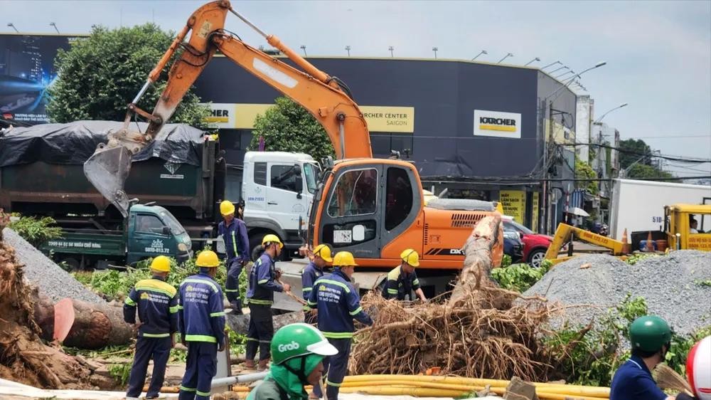 在胡志明市新山坊长征路上砍伐行道树。