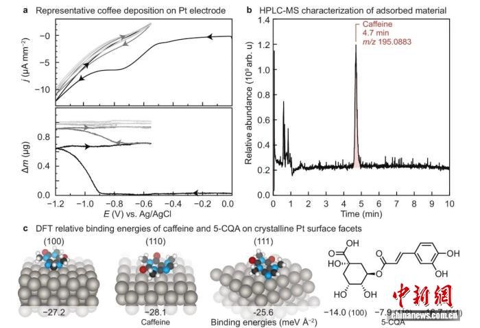 本项研究相关示意图。