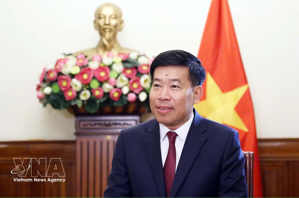 党中央委员、越南外交部党委副书记、副部长阮孟强。