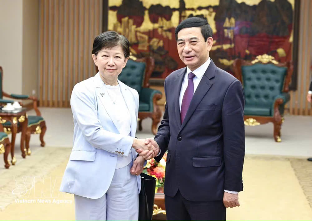 越南政府副总理潘文江会见联合国副秘书长、裁军事务高级代表中满泉。图自越通社
