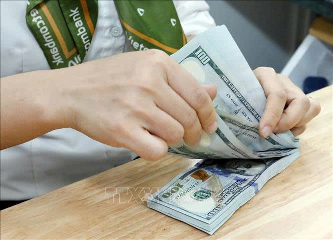 7月15日上午，越南国家银行公布，越南盾兑美元中心汇率为1美元兑25,233越盾，较7月14日上午上调8越盾。 示意图：陈越／越通社