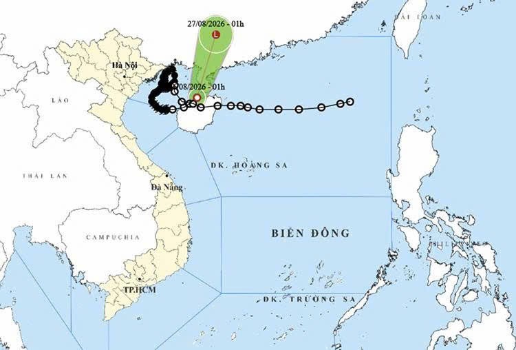 附图。