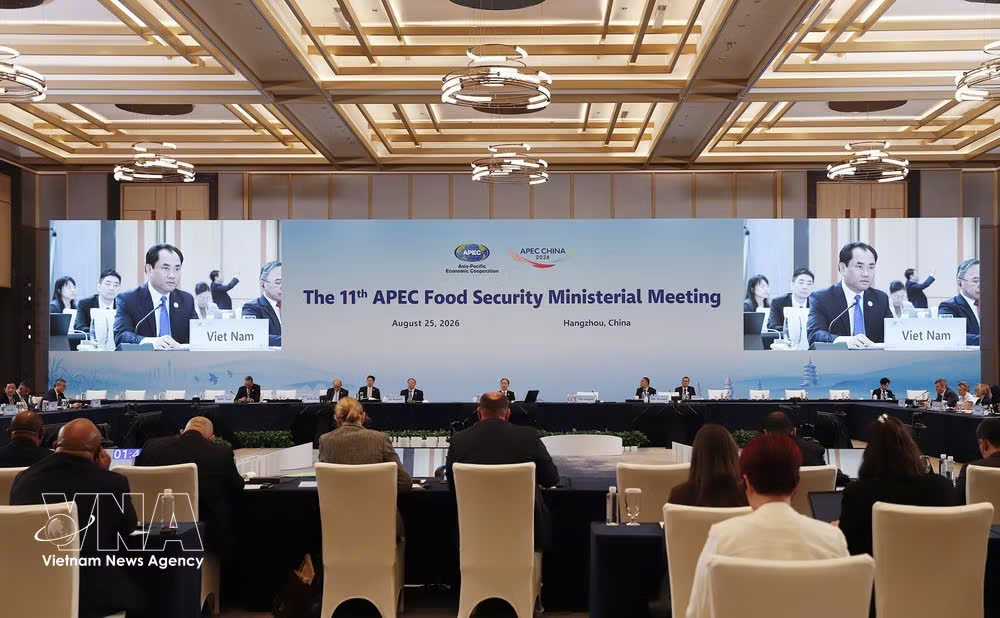 第十一届亚太经合组织（APEC）粮食安全部长级会议现场。图自越通社