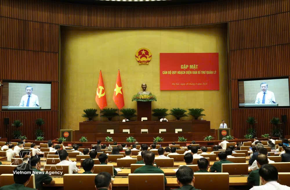 党中央总书记、国家主席苏林在河内会见由中央书记处管理的后备干部代表。图自越通社
