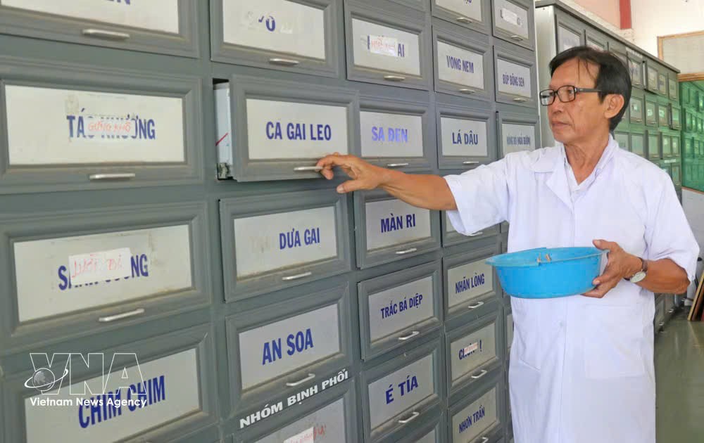 用于环市（Chợ Vàm）慈善传统医学诊所患者治疗的药材。图自