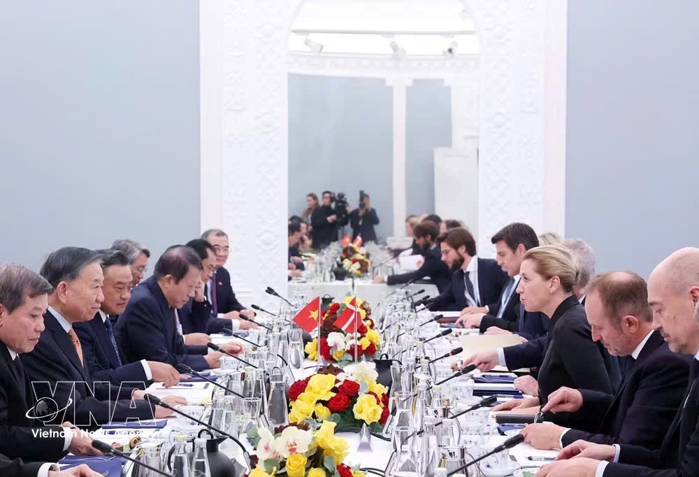 党中央总书记、国家主席苏林在哥本哈根与丹麦首相梅特·弗雷泽里克森举行会谈 图自越通社